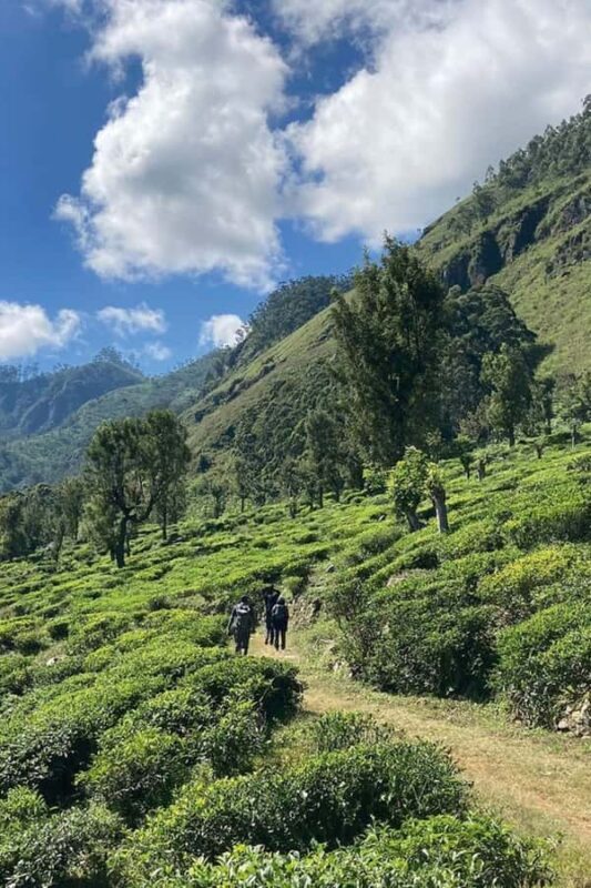 Kandy: Hidden Highlands Nature Walk - An In-Depth Look at the Experience