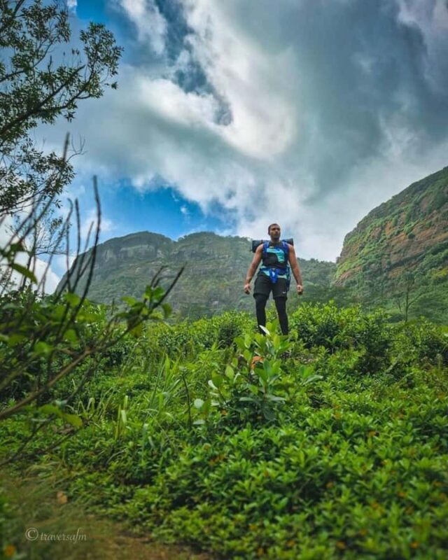 Kandy: Hidden Highlands Nature Walk - Final Thoughts: Who Will Love This Tour?