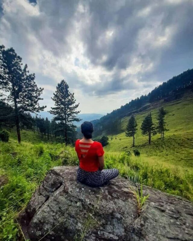 Kandy: Hidden Highlands Nature Walk - Practical Details & Tips