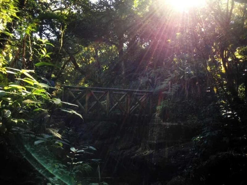 Kandy: Hidden Jungle Infinity Pool & Waterfall Expedition - The Sum Up