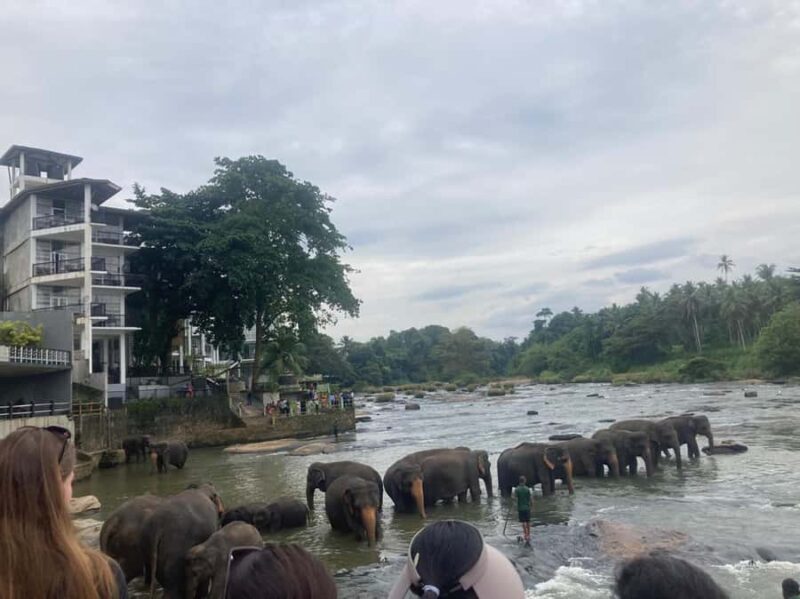 Kandy Highlights & Pinnawala Elephant Experience by Tuk-Tuk - What Makes This Tour Stand Out?