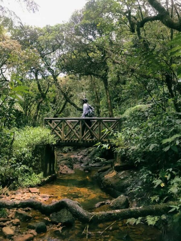 Kandy: Knuckles Mountain 2-Day Hike & Village Tour - Day 2: Village Life & Cultural Encounters
