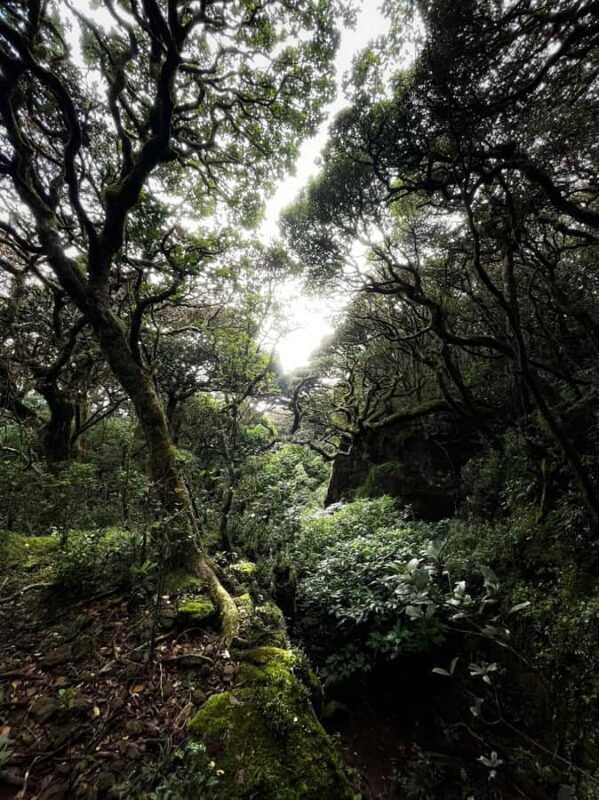 Kandy: Knuckles Mountain 2-Day Hike & Village Tour - Detailed Breakdown of the Itinerary