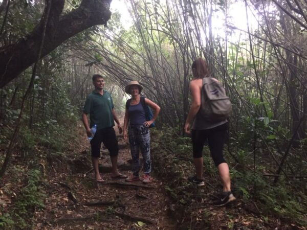 Kandy: Knuckles Mountain Range Day Hike - Flora and Fauna