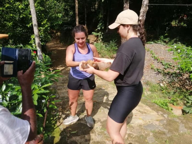Kandy: Knuckles Mountain Range Full-Day Hike with Lunch - Exploring the Knuckles Mountain Range from Kandy: A Detailed Review