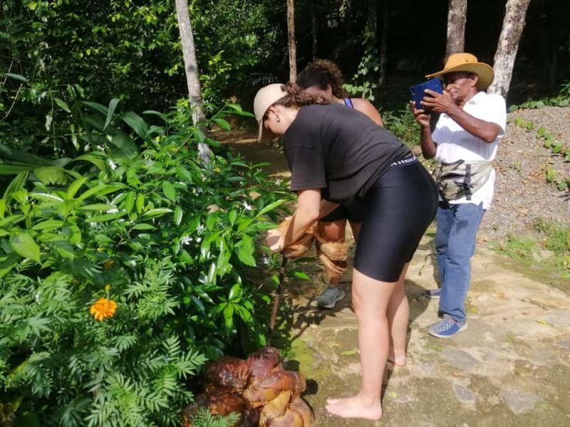 Kandy: Knuckles Mountain Range Full-Day Hike with Lunch - FAQ