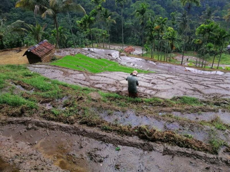 Kandy: Knuckles Mountain Range Full-Day Hike with Lunch - Hiking and Scenic Highlights: What the Tour Offers