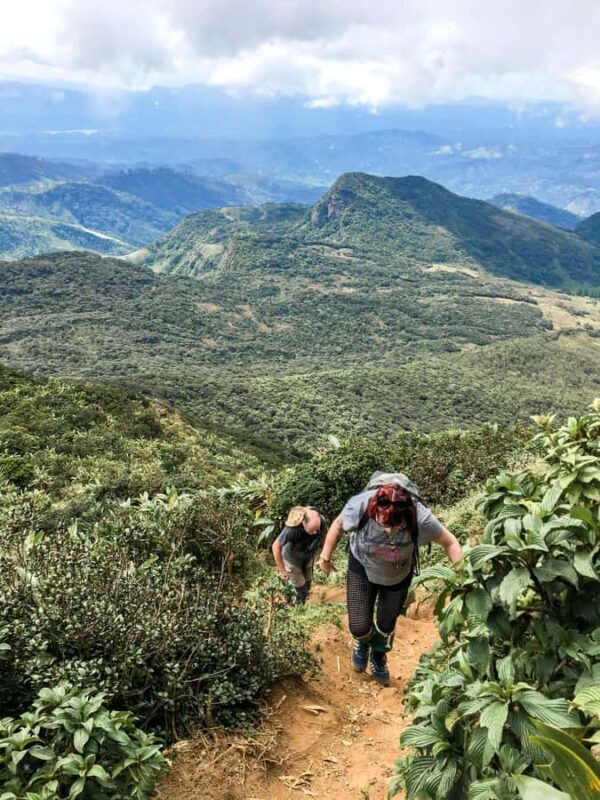 Kandy: Knuckles Mountain Range Hiking Tour with Lunch - An In-Depth Look at the Kandy Knuckles Mountain Range Hike