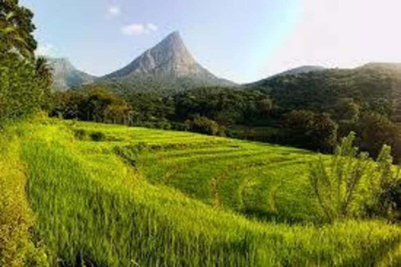 Kandy: Meemure Village Day Trip (Hidden Mountain Village) - An In-Depth Look at the Experience