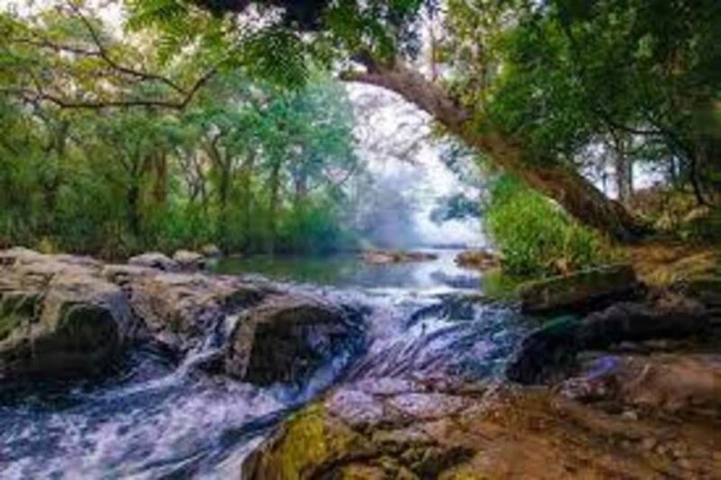 Kandy: Meemure Village Day Trip (Hidden Mountain Village) - An inviting peek into Sri Lanka’s untouched rural life