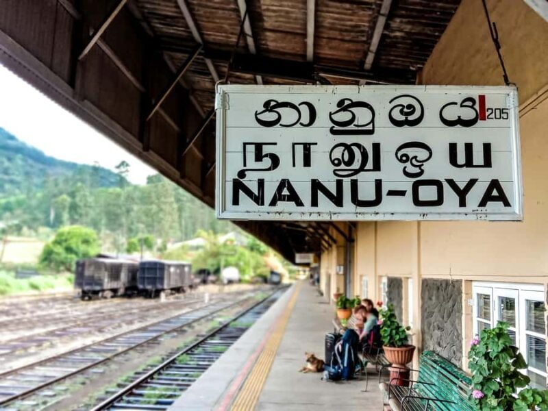 Kandy: Nanu Oya Scenic First Class Railway Experience - Who will love this journey?