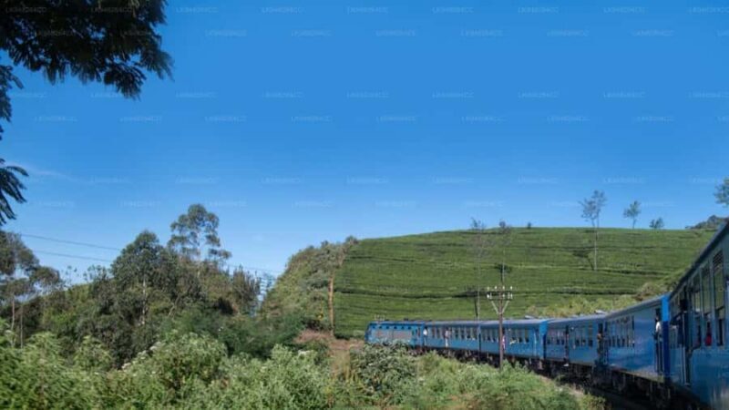 Kandy: Nanu Oya Scenic First Class Railway Experience - Detailed Review of the Journey