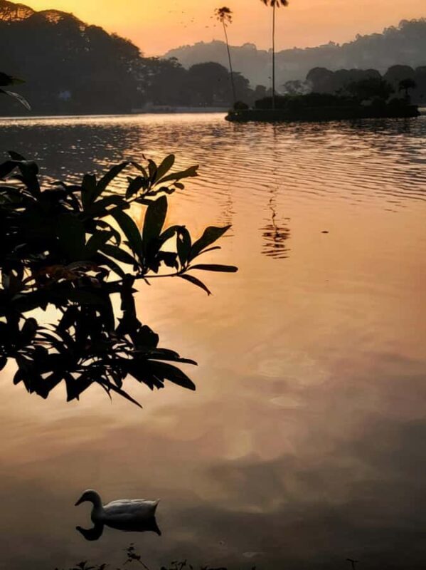 Kandy: Night Tour with Boat Safari, Cultural Show & Temples - The Sum Up