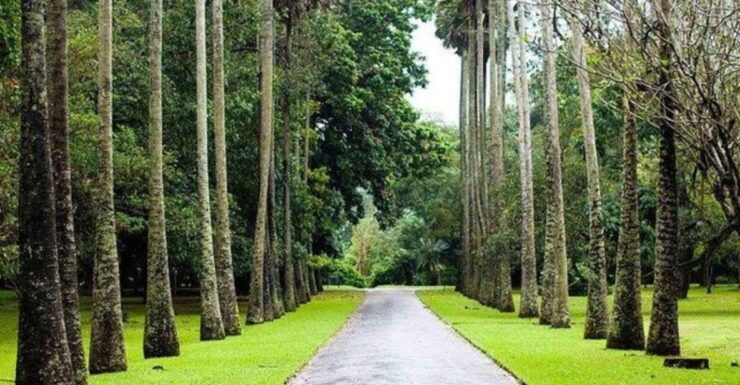 Kandy & Nuwara Eliya: 2-Day Tour! - Tour Itinerary Overview