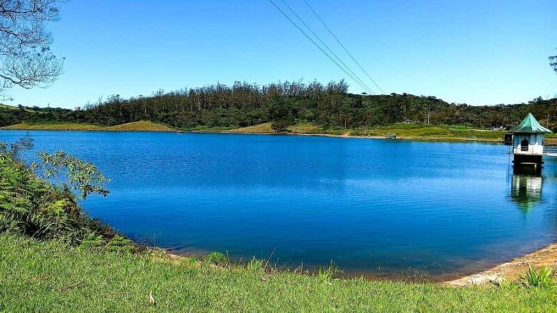 Kandy: Nuwara Eliya and Ambewela Train Station Tour - Who Should Consider This Tour?