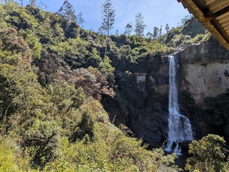 Kandy: Nuwara Eliya and Ambewela Train Station Tour - The Sum Up