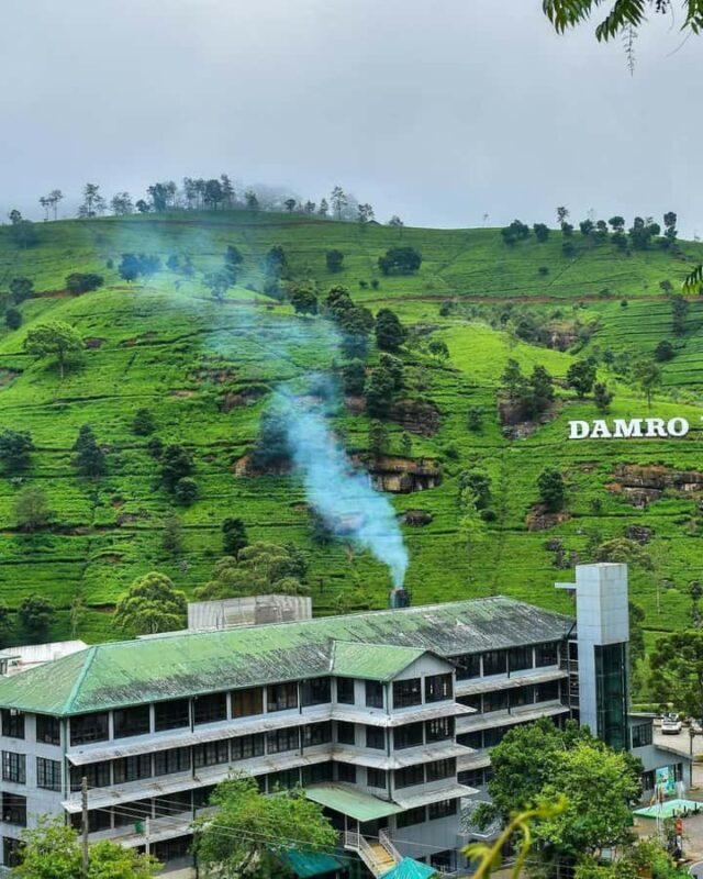 Kandy: Nuwara Eliya and Ambewela Train Station Tour - A Closer Look at the Tour Experience  