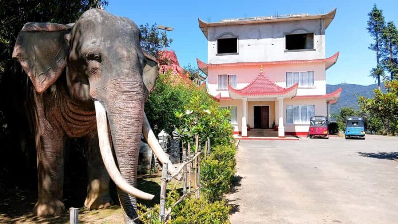 Kandy: Nuwara Eliya and Ambewela Train Station Tour - Exploring the Itinerary in Detail