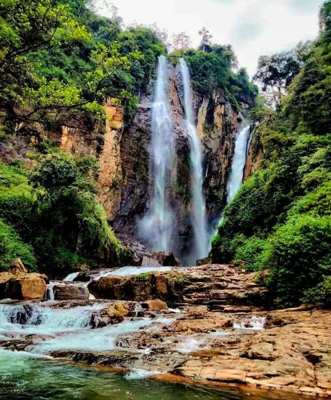 Kandy: Nuwara Eliya and Ambewela Train Station Tour - Who Will Love This Tour?