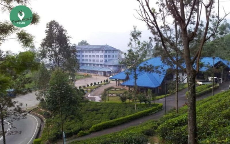 Kandy: Nuwara Eliya Day Explore by Tuk tuk with Local Guide - Good To Know