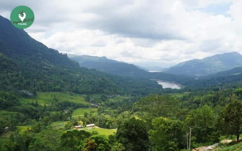 Kandy: Nuwara Eliya Day Explore by Tuk tuk with Local Guide - The Sum Up