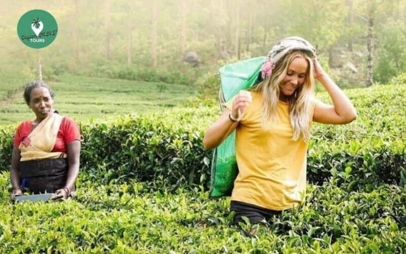 Kandy: Nuwara Eliya Day Explore by Tuk tuk with Local Guide - Final Thoughts