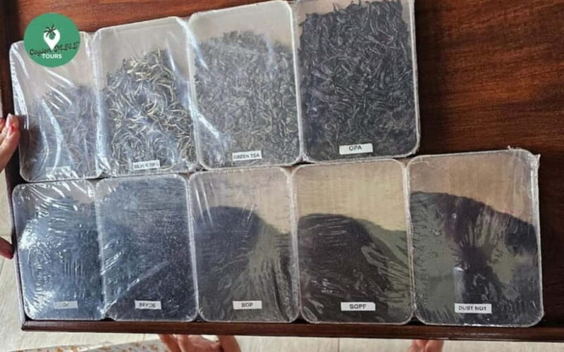 Kandy: Nuwara Eliya Day Explore by Tuk tuk with Local Guide - FAQ