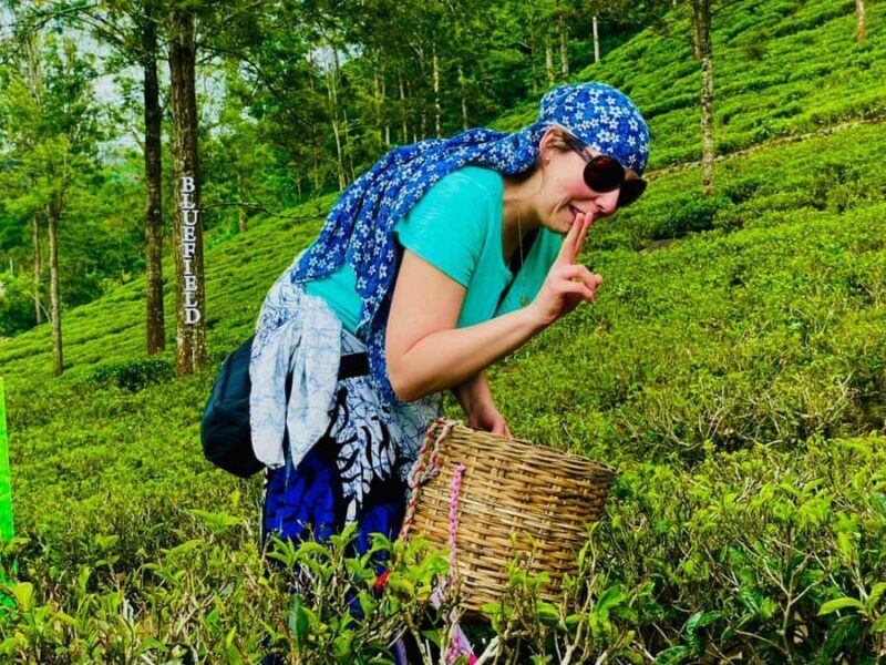 Kandy: Nuwara Eliya to Ella Tea Plantation & Waterfall Hike - Exploring the Kandy to Ella Tea Plantation & Waterfall Hike Tour — A Complete Review