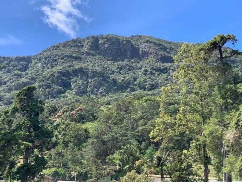 Kandy: Nuwara-Eliya Trip with Driver-Guide & Scenic Stops - The Sum Up