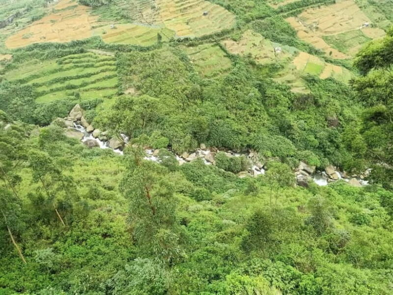 Kandy: Nuwara-Eliya Trip with Driver-Guide & Scenic Stops - Who Should Book This Tour?