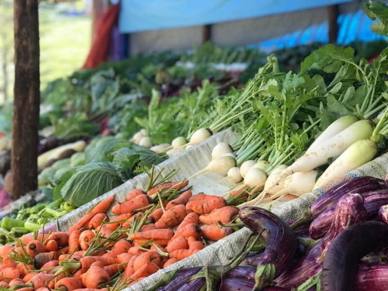 Kandy: Nuwara-Eliya Trip with Driver-Guide & Scenic Stops - FAQ