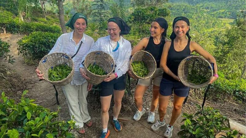 Kandy  Nuwara Eliya Tuk-Tuk (All-Inclusive, Drop-Off) - Ramboda Waterfall: A Natural Wonder