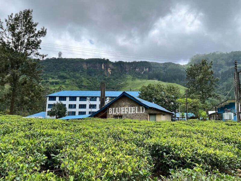 Kandy  Nuwara Eliya Tuk-Tuk (All-Inclusive, Drop-Off) - Practical Details and Transport