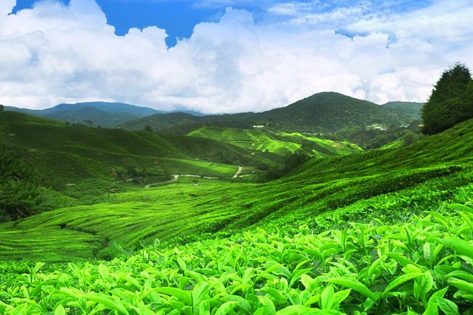 Kandy Nuwaraeliya 02 Days Tour From Colombo or Negombo - Accommodation Details