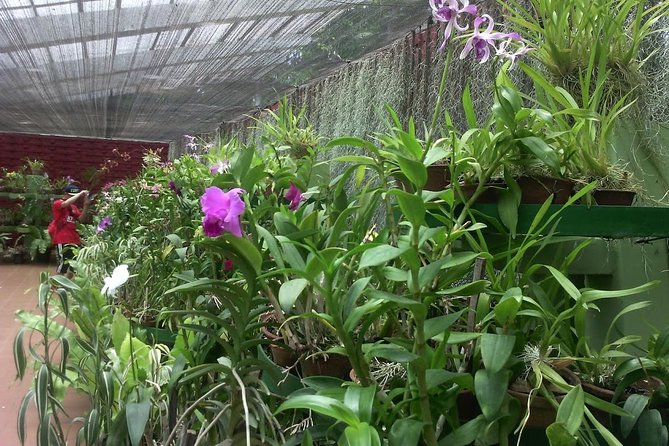 Kandy Nuwaraeliya 02 Days Tour From Colombo or Negombo - Important Information