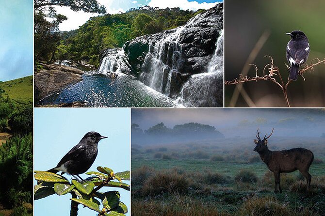 Kandy & Nuwaraeliya Two Day Tour - Customer Reviews