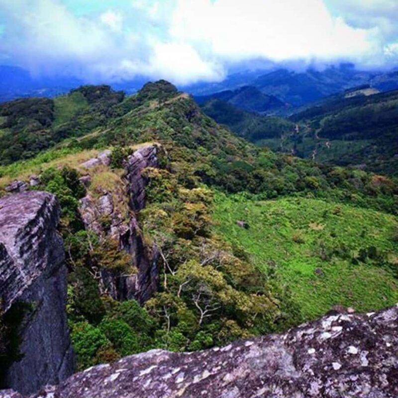 Kandy: Pekoe Trail Stage 2 Guided Hike (Galaha-Loolecondera) - Good To Know