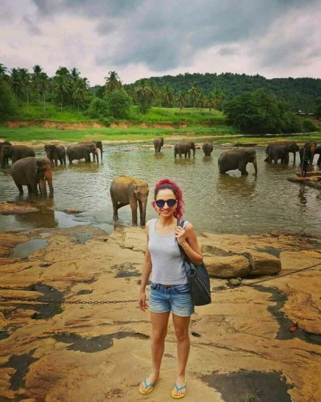 Kandy: Pinnawala, Ambuluwawa, and Village Tour - Transportation and Group Size