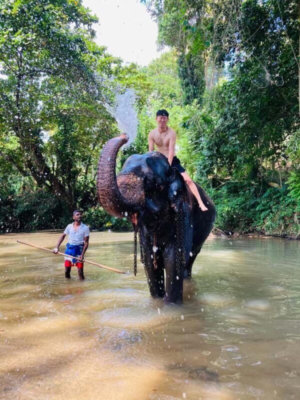 Kandy: Pinnawala & Ambuluwawa Tuk Tuk Adventure - What to Expect from the Tour