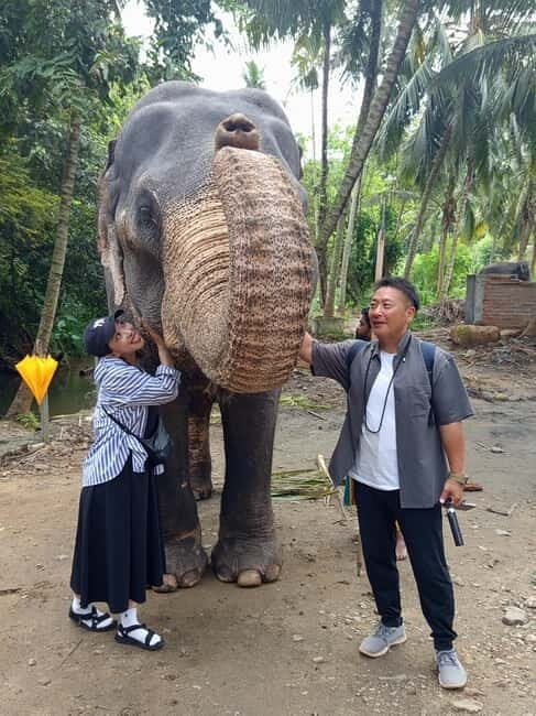 Kandy: Pinnawala & Ambuluwawa Tuk Tuk Adventure - Final Thoughts: Who Is This Tour For?