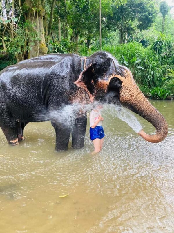 Kandy: Pinnawala & Ambuluwawa Tuk Tuk Adventure - Final Word