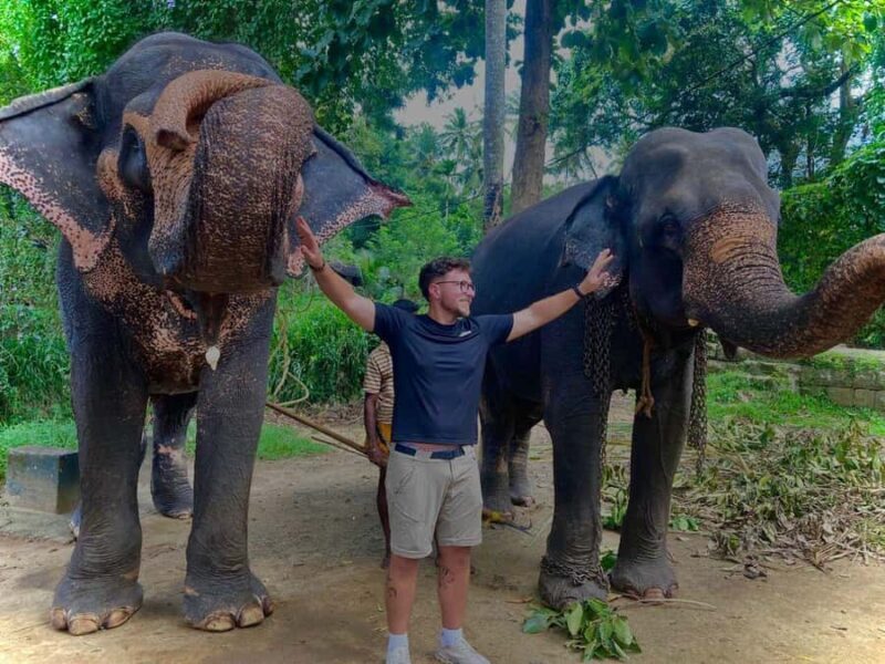 Kandy: Pinnawala & Ambuluwawa Tuk Tuk Adventure - Practicalities & What to Expect