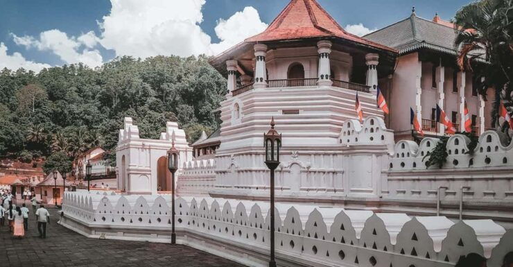 Kandy: Pinnawala and Temple of Tooth ++ Comfortable Car Tour - Pinnawala Elephant Experience