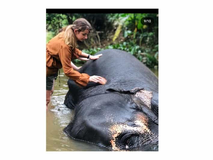 Kandy: Pinnawala Day Tour By Local Budget Taxi (Local Guide) - Good To Know