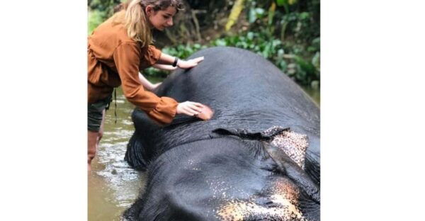 Kandy: Pinnawala Day Tour By Local Budget Taxi (Local Guide) - Booking and Cancellation