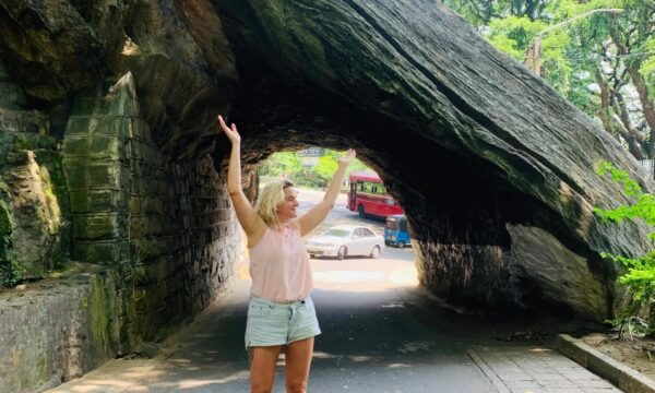Kandy Pinnawala Day Tour From Bentota - Additional Notes