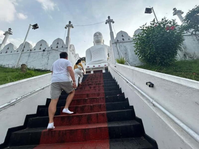 Kandy & Pinnawala Day Tour From Colombo or Negombo - Good To Know