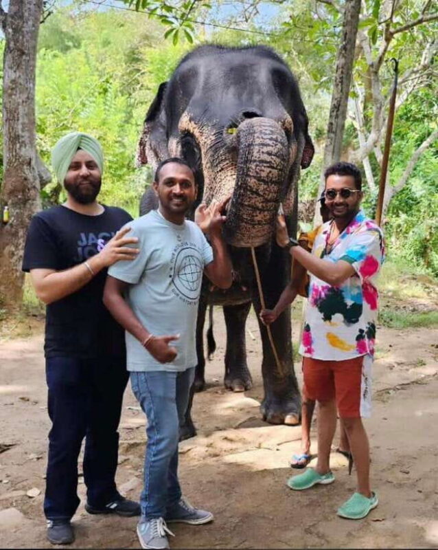 Kandy : Pinnawala Day Tour with Top Rated Local Guide - An In-Depth Look at the Tour Experience