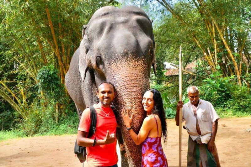 Kandy : Pinnawala Day Tour with Top Rated Local Guide - Itinerary Breakdown