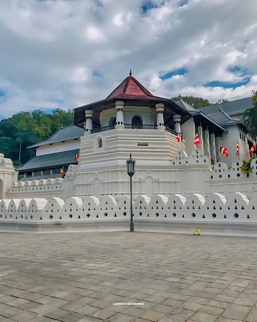 Kandy & Pinnawala Elephant Orphanage Day Tour From Colombo - Itinerary Highlights
